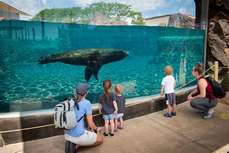 Zoos and aquariums in Lapu.